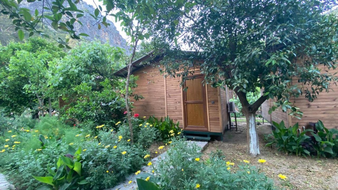 Mercan Pension Olympos Zewnętrze zdjęcie