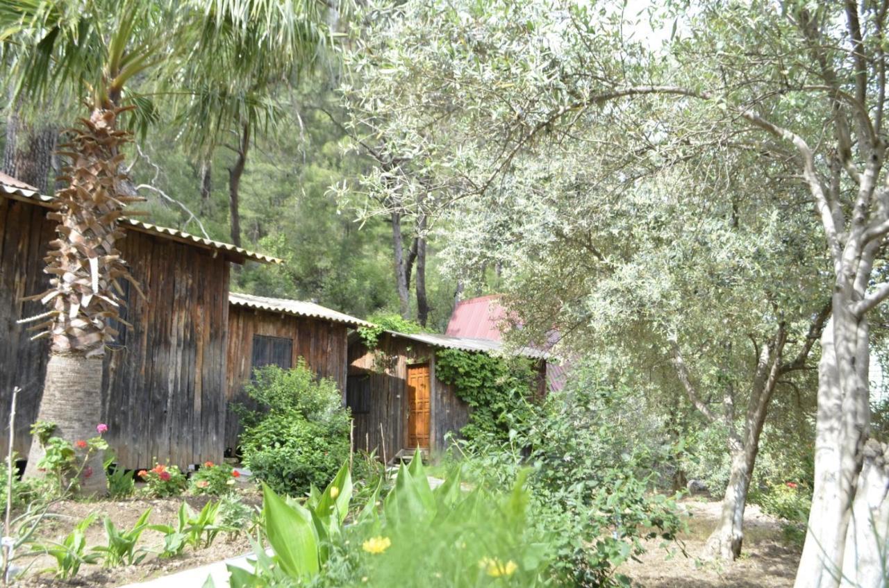 Mercan Pension Olympos Zewnętrze zdjęcie
