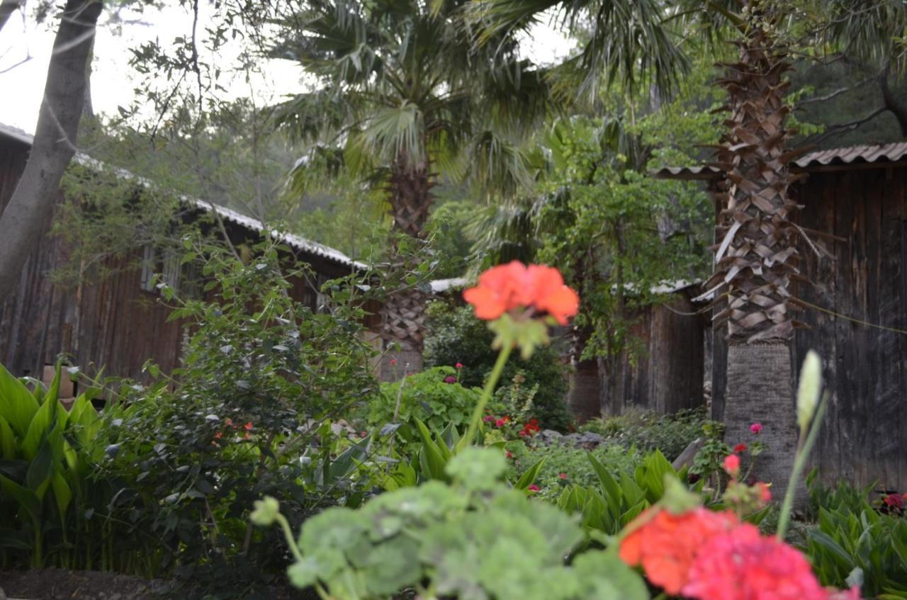 Mercan Pension Olympos Zewnętrze zdjęcie