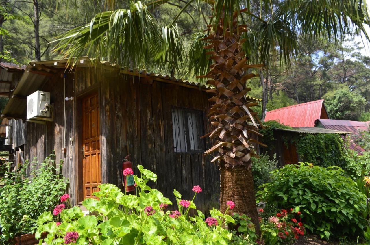 Mercan Pension Olympos Zewnętrze zdjęcie
