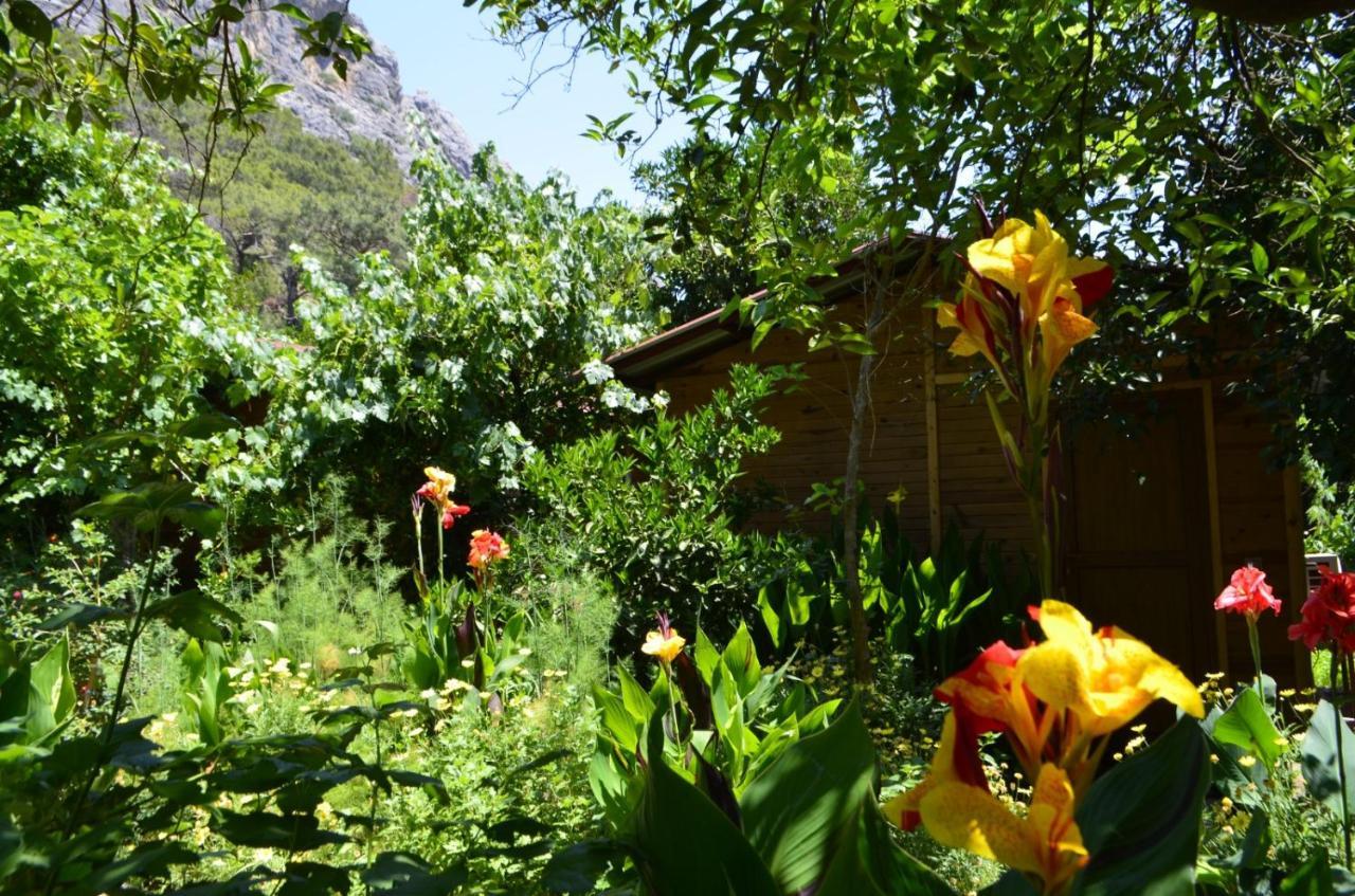Mercan Pension Olympos Zewnętrze zdjęcie