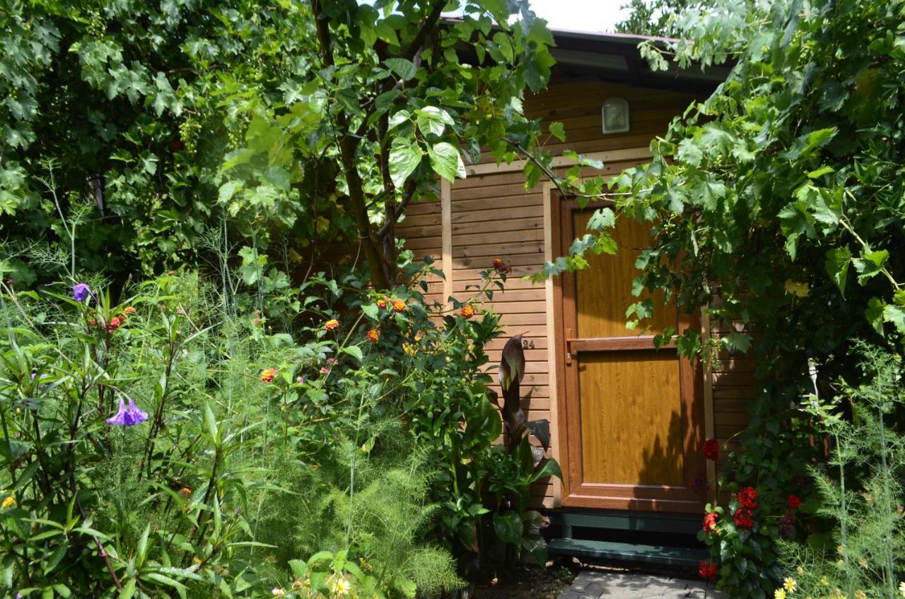 Mercan Pension Olympos Zewnętrze zdjęcie