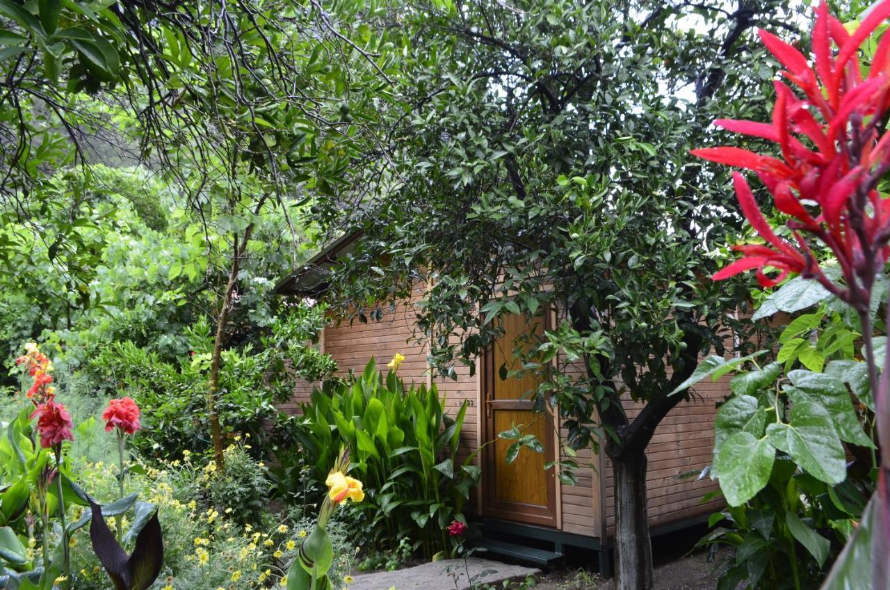 Mercan Pension Olympos Zewnętrze zdjęcie