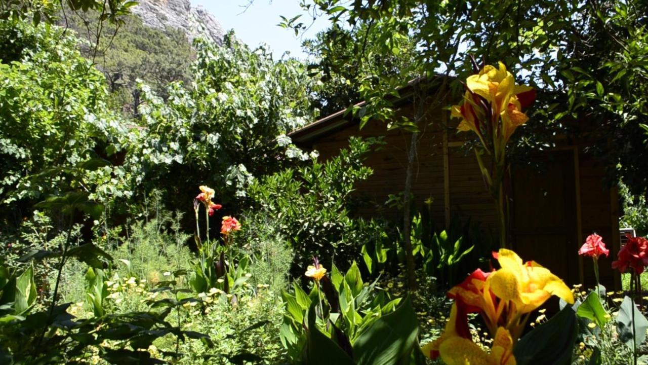 Mercan Pension Olympos Zewnętrze zdjęcie