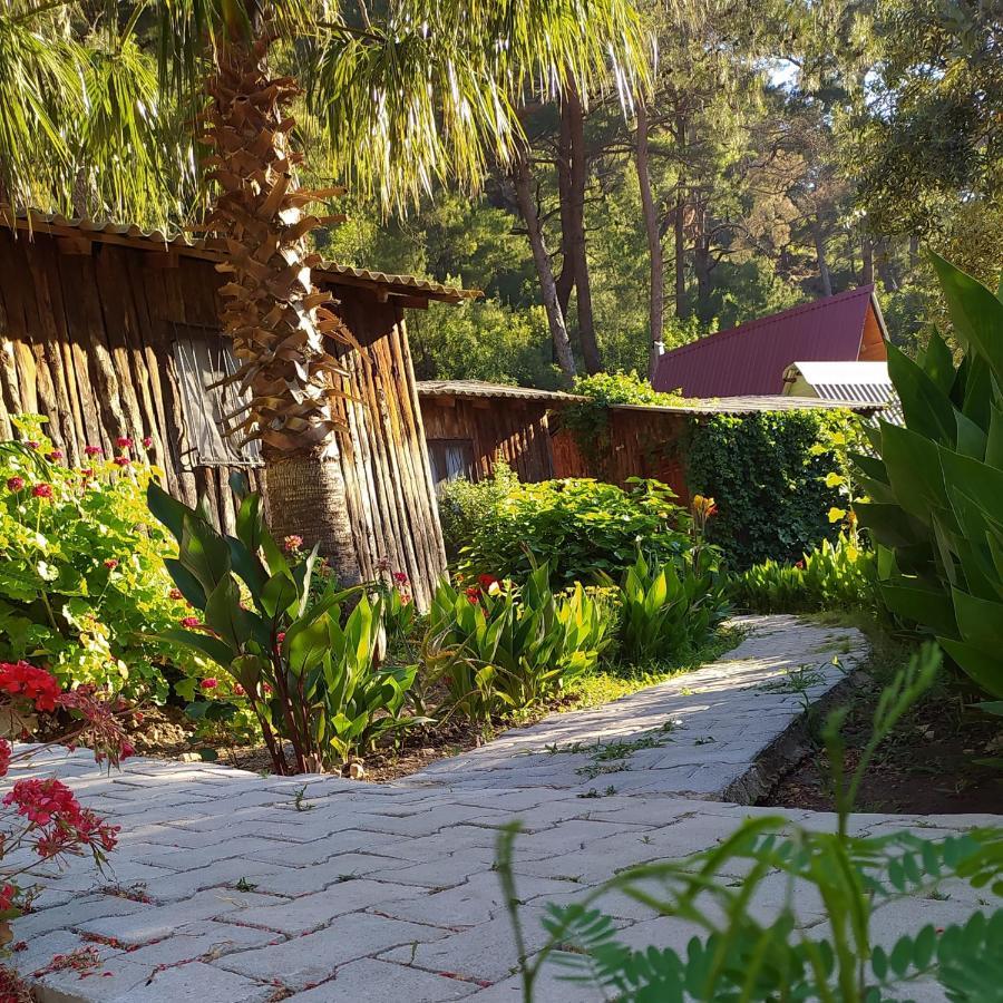 Mercan Pension Olympos Zewnętrze zdjęcie