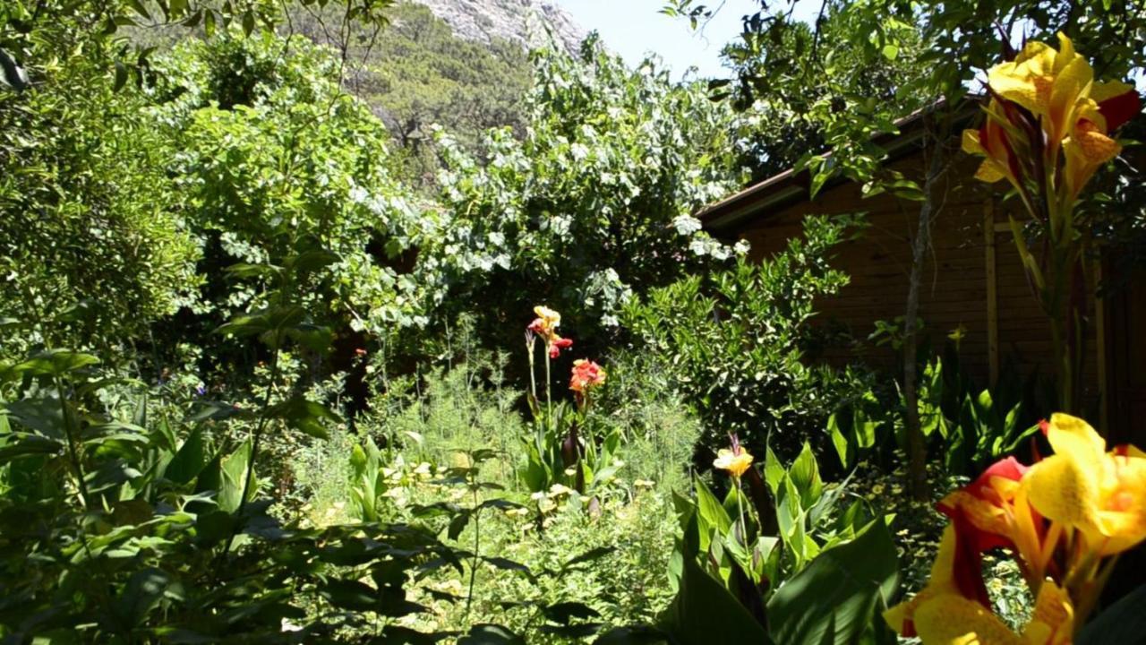 Mercan Pension Olympos Zewnętrze zdjęcie